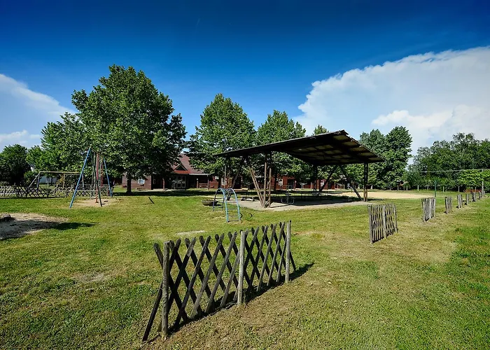 Oliver בלטונללה